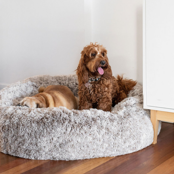 Abbyspace dog bed reviews hotsell